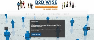 b2bwize.com